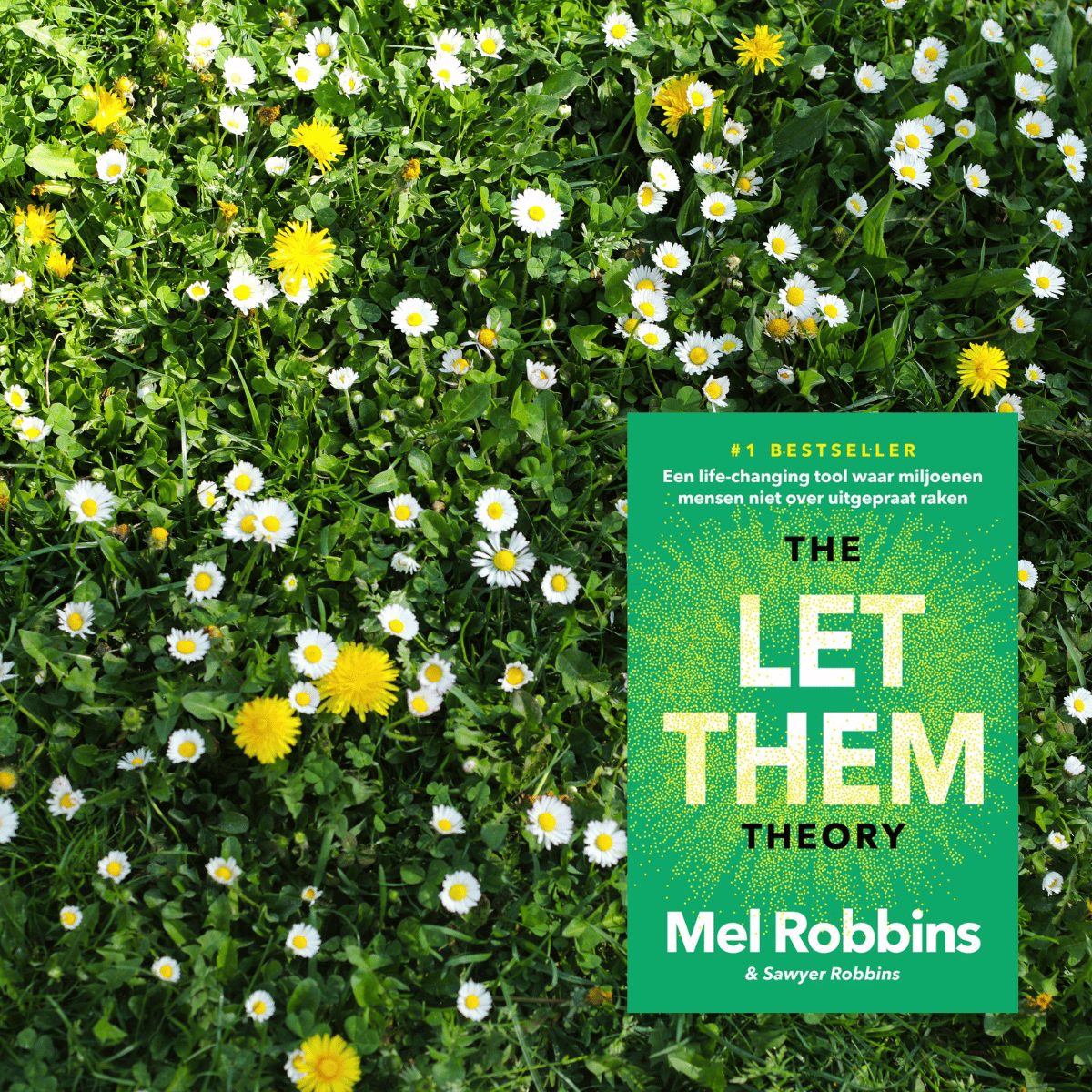 Nite-Nite Bedside Library: The Let Them Theory