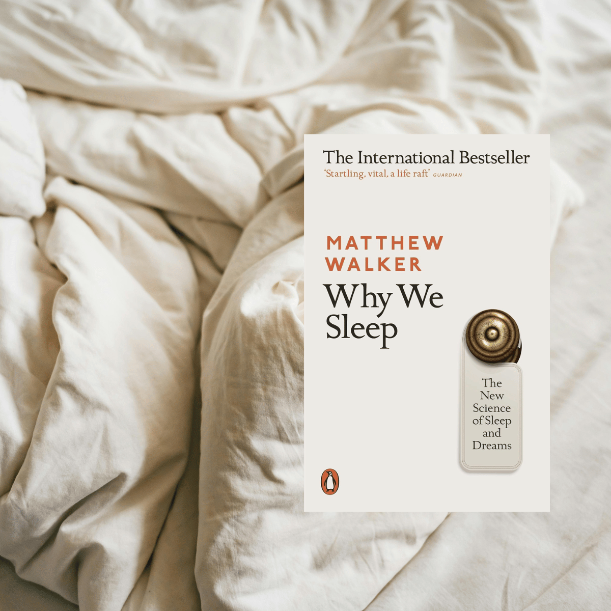 Nite-Nite Bedside Library: Why We Sleep by Matthew Walker