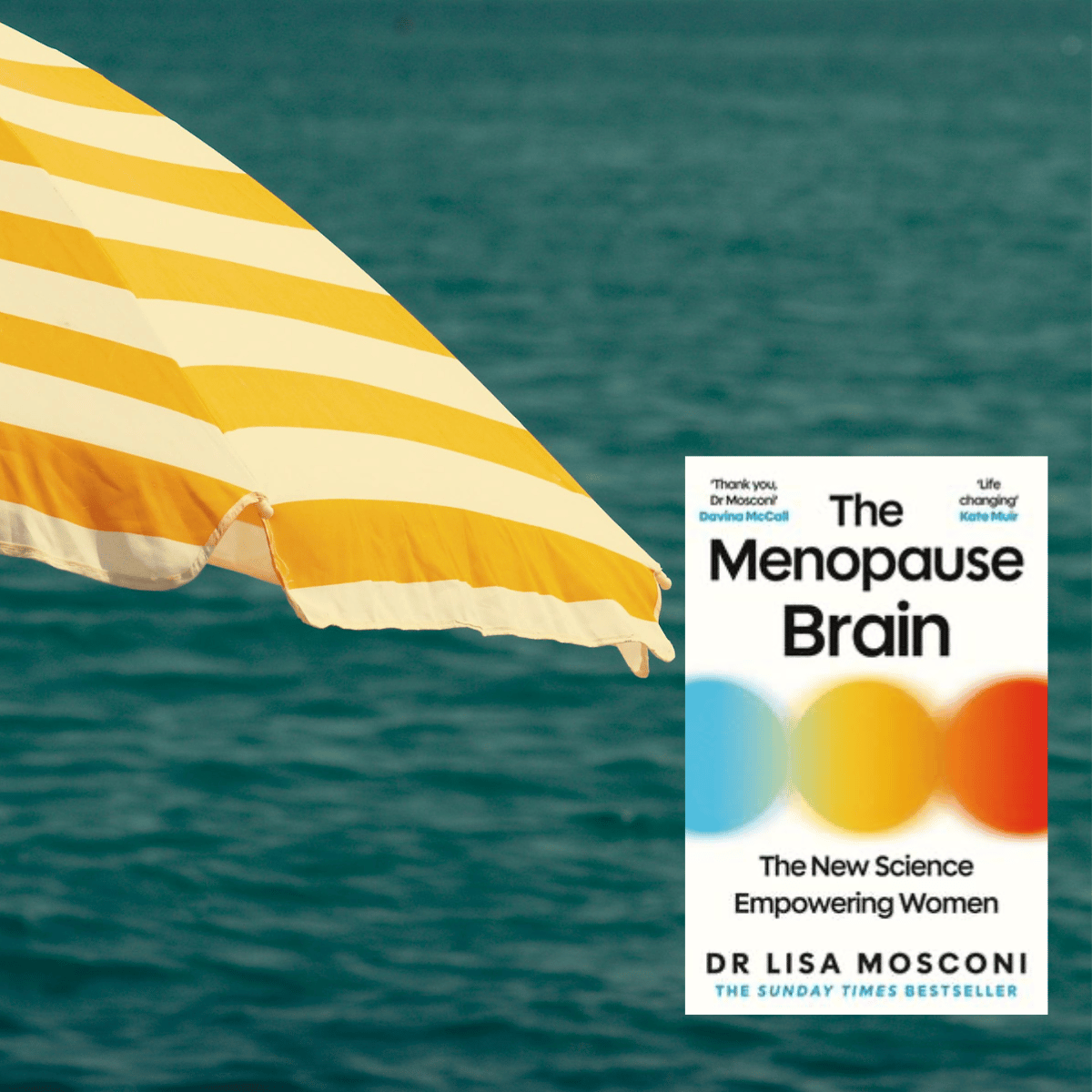 Nite-Nite Bedside Library: The Menopause Brain