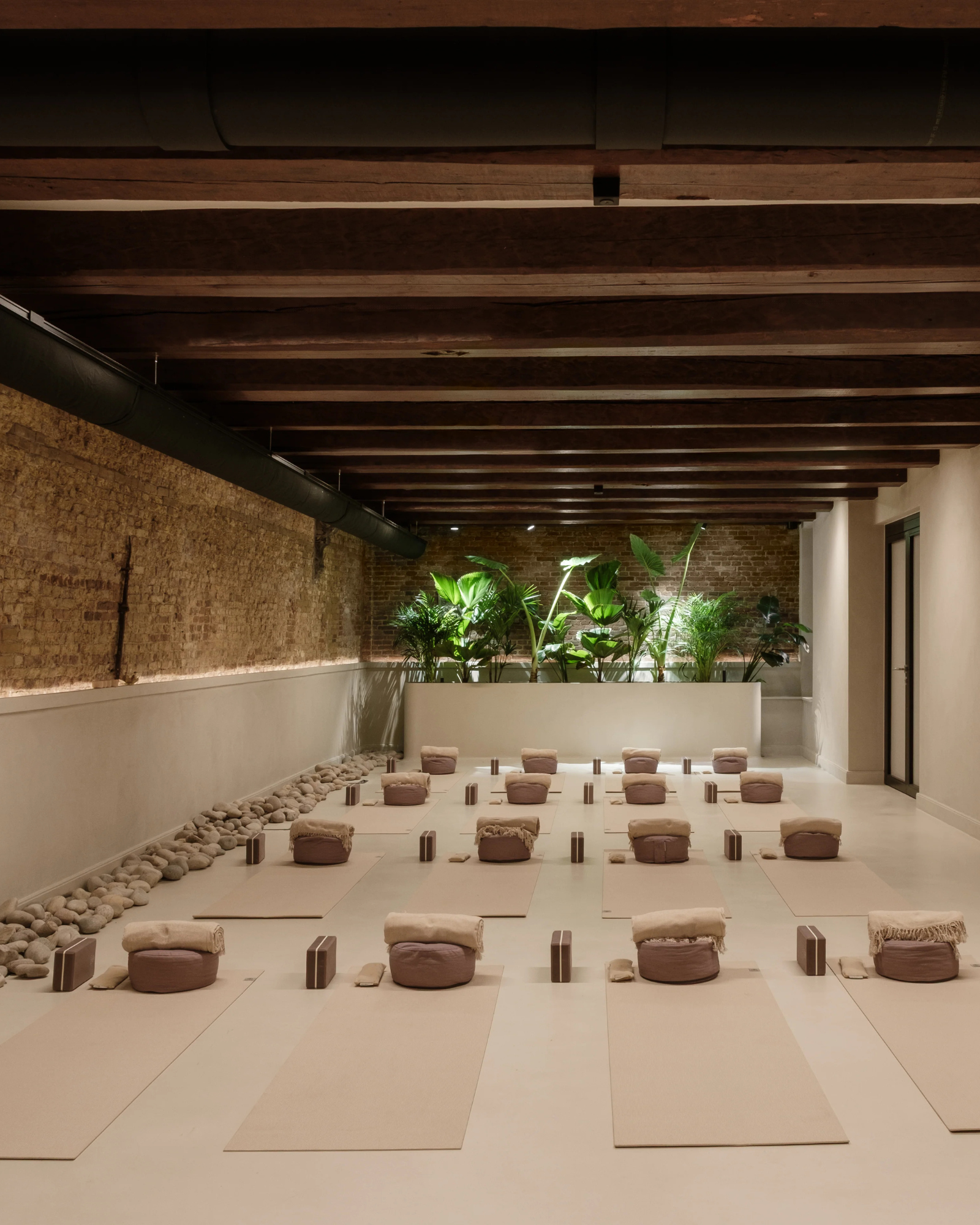 Amsterdam - When Nature Calls